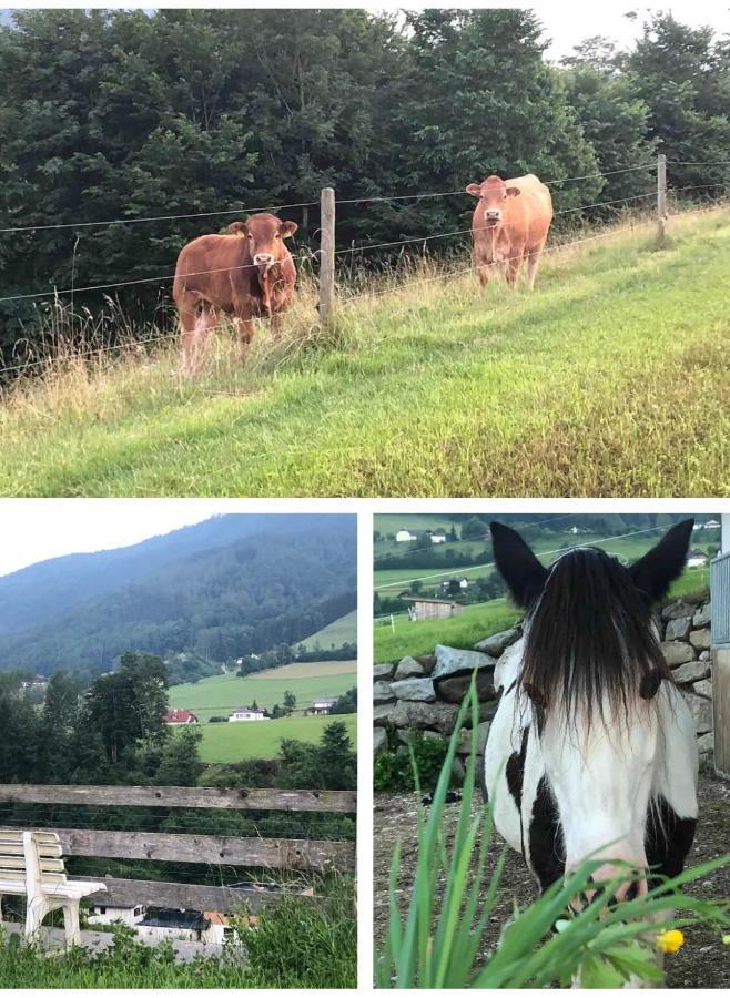Ferienhaus Am Traunsee Mit Bergsicht Traunkirchen Luaran gambar