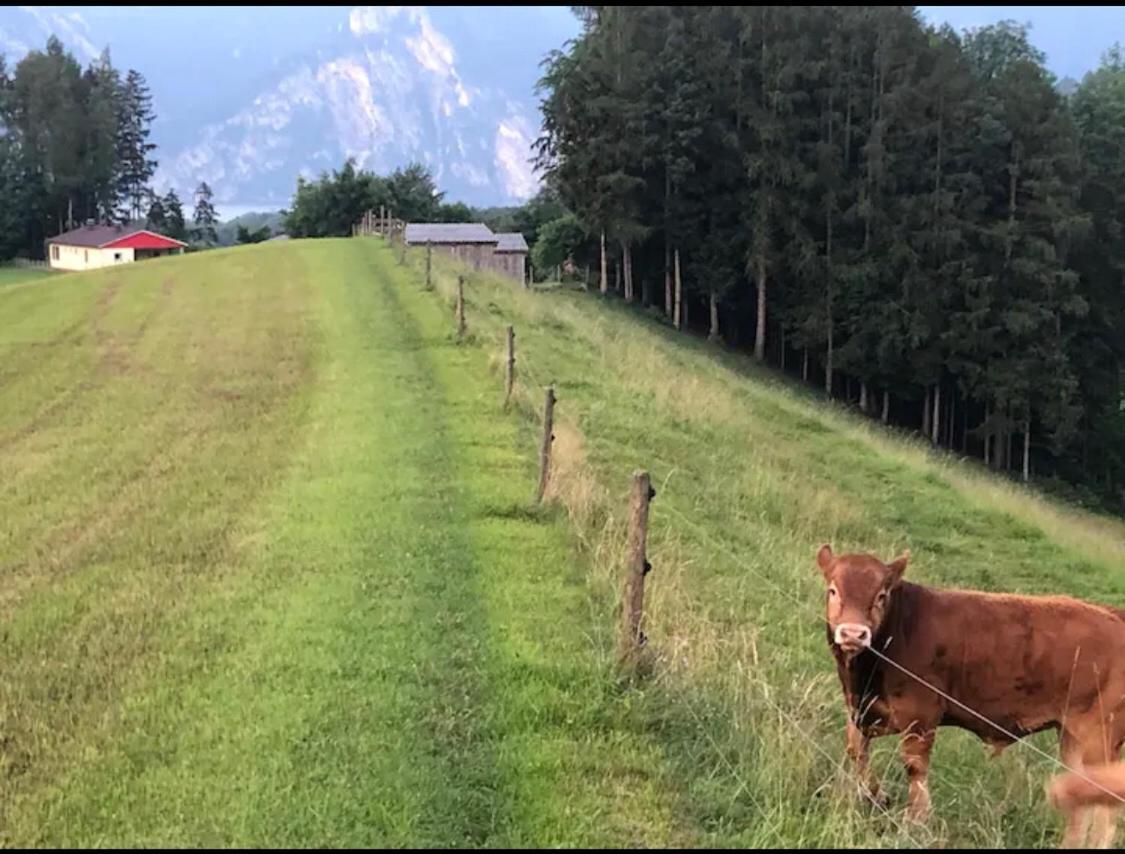 Ferienhaus Am Traunsee Mit Bergsicht Traunkirchen Luaran gambar